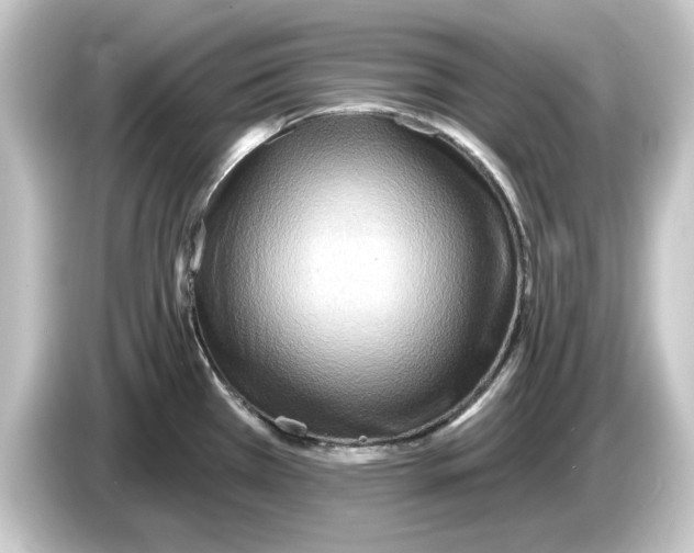 X0000084541385200703161619