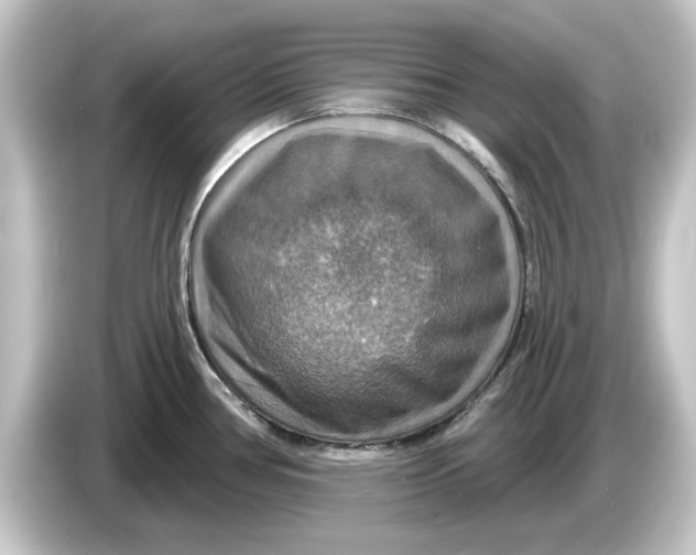 X0000084541386200703161619