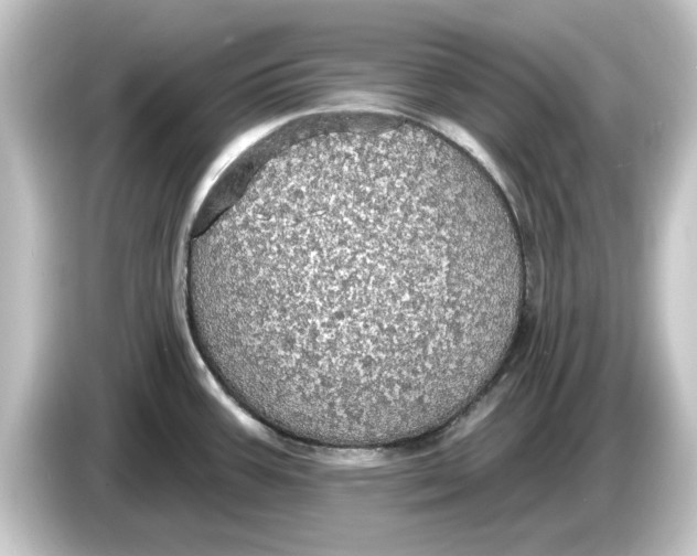 X0000084541387200703161619