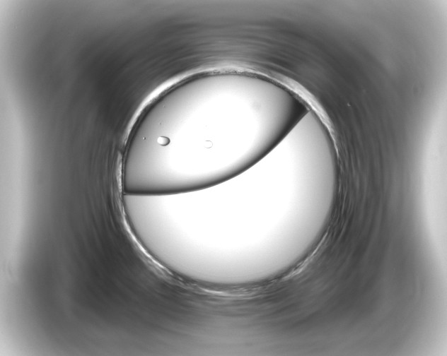 X0000084541388200703161619