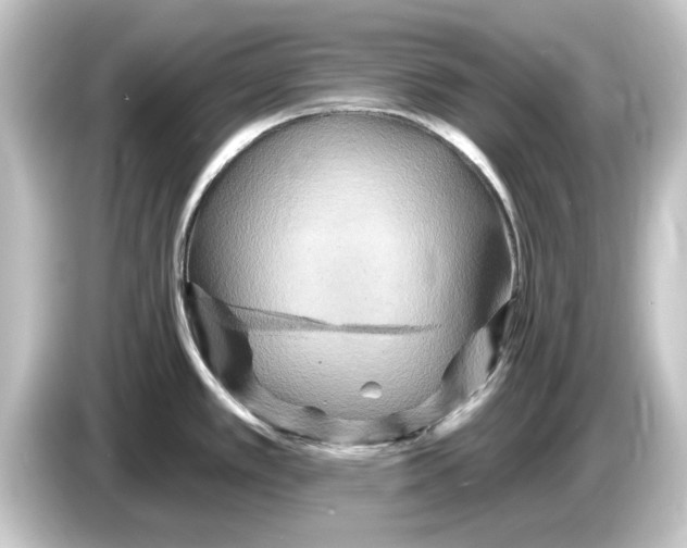 X0000084541389200703161619