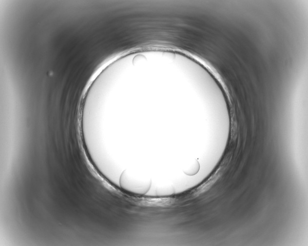 X0000084541390200703161619