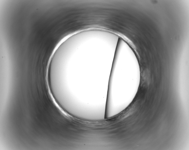 X0000084541391200703161619