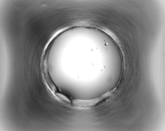 X0000084541392200703161619