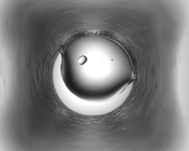 X0000084541394200703161618