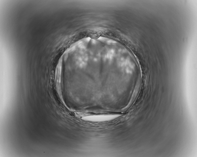 X0000084541397200703161619