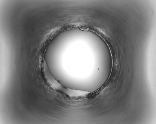 X0000084541398200703161619