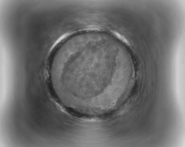 X0000084541400200703161619