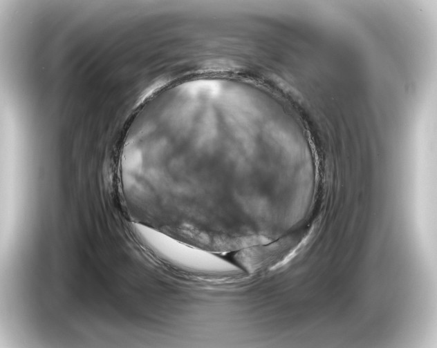 X0000084541401200703161619