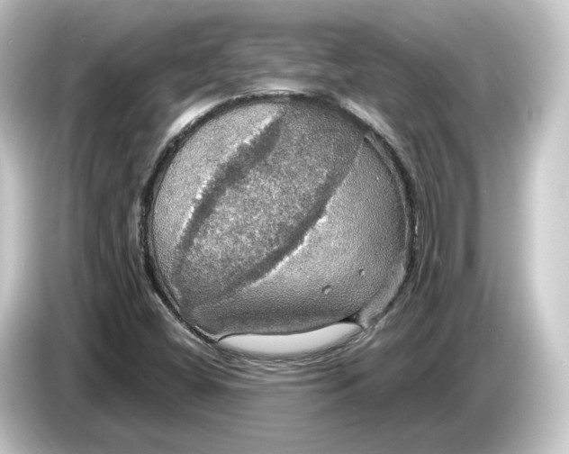 X0000084541404200703161619