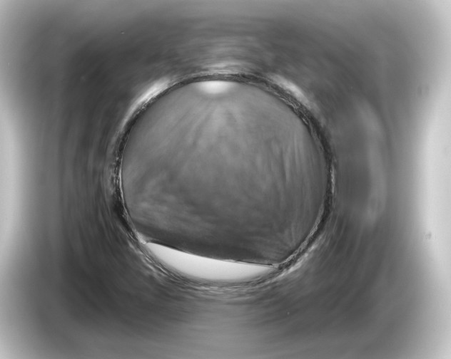 X0000084541405200703161619