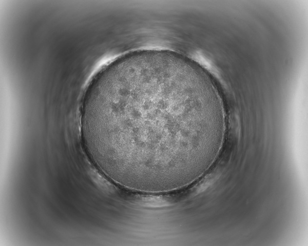 X0000084541408200703161619