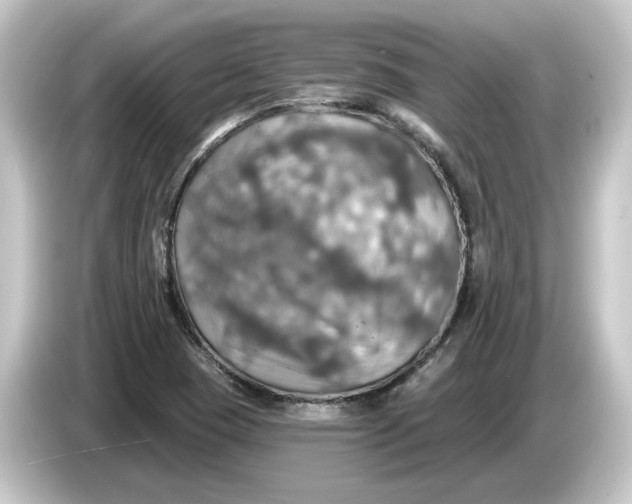 X0000084541409200703161619