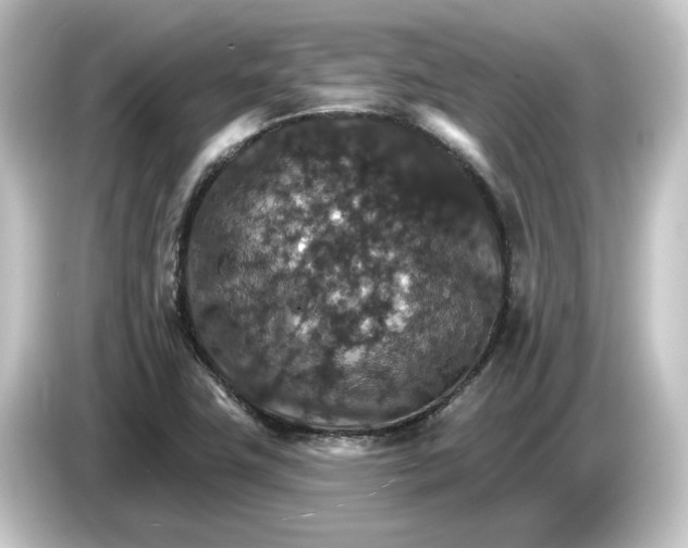 X0000084541411200703161619