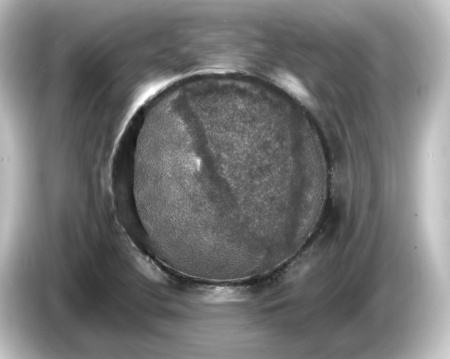 X0000084541412200703161619