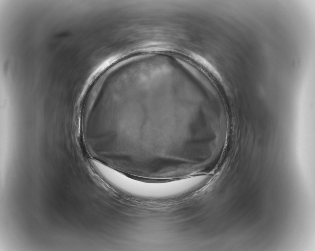 X0000084541413200703161619