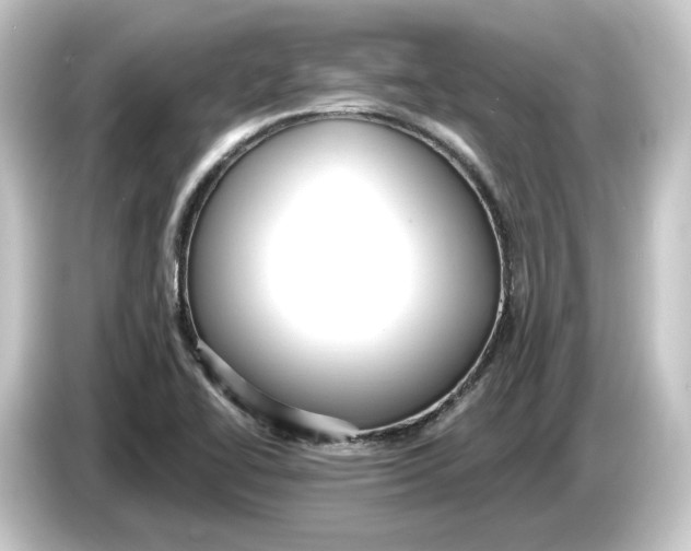 X0000084541414200703161619