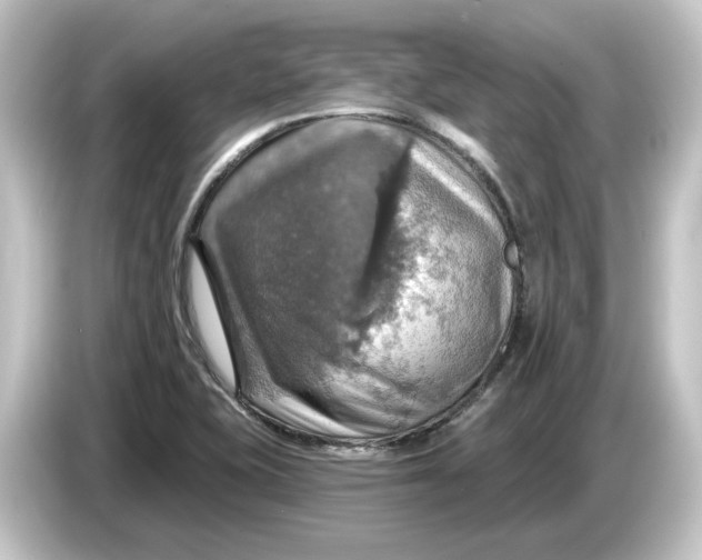 X0000084541415200703161619