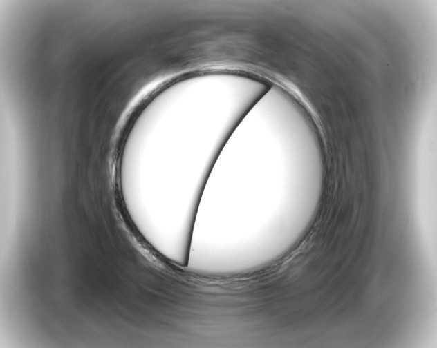 X0000084541416200703161619