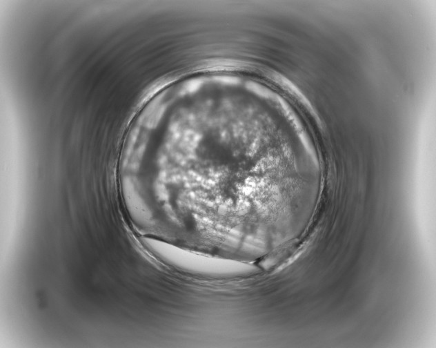 X0000084541417200703161619