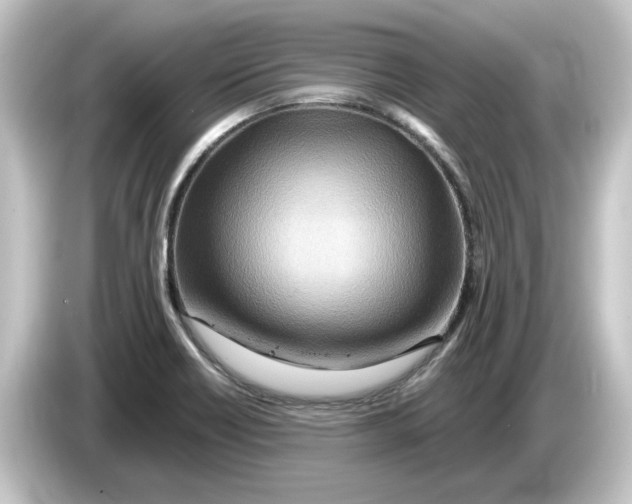 X0000084541418200703161619