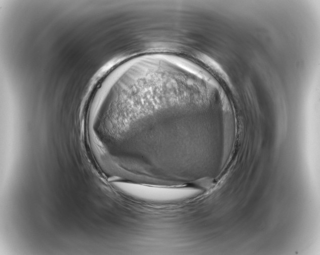 X0000084541419200703161619