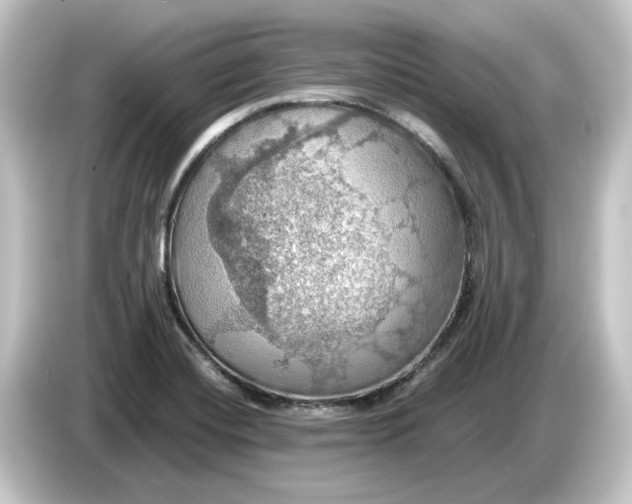 X0000084541420200703161619