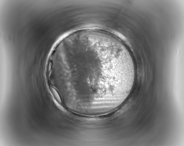 X0000084541421200703161619