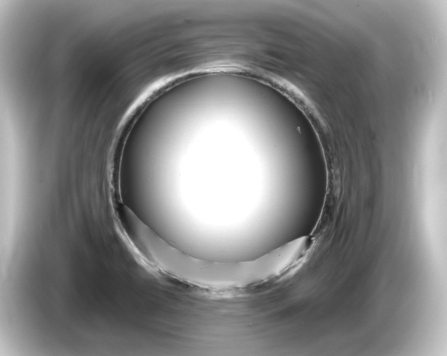 X0000084541422200703161619