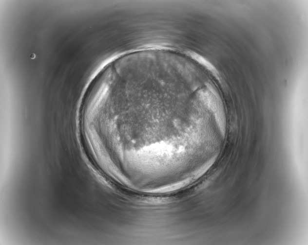 X0000084541423200703161619