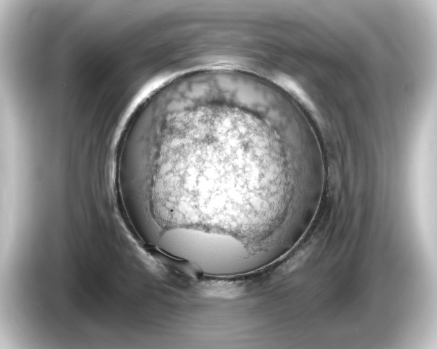 X0000084541424200703161619