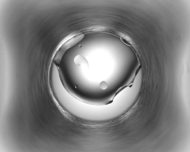 X0000084541426200703161619