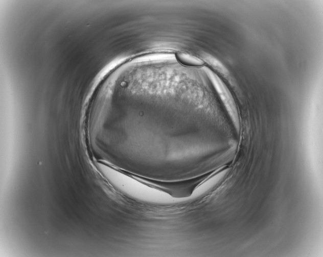 X0000084541427200703161619