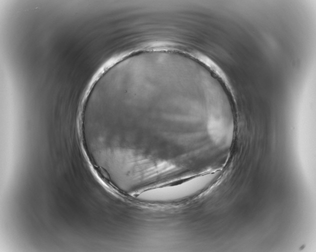 X0000084541429200703161619