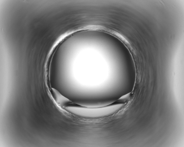 X0000084541430200703161619