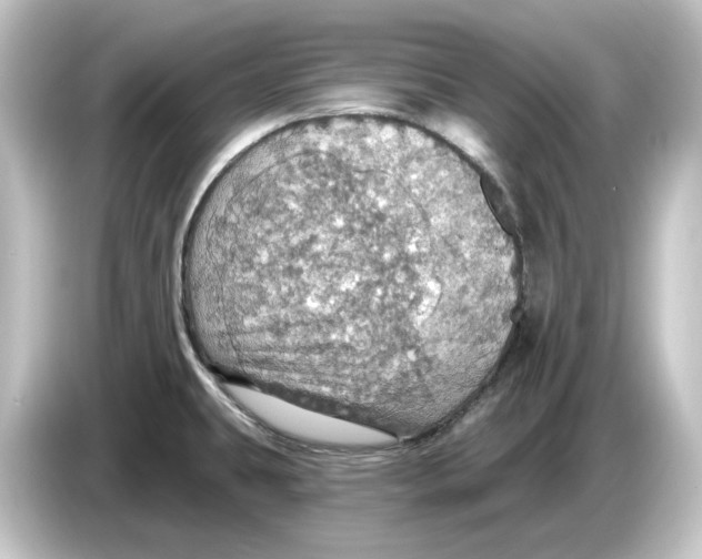 X0000084541431200703161619