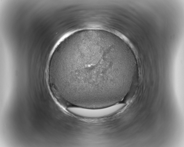 X0000084541432200703161619