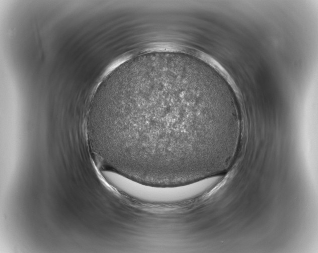 X0000084541433200703161619