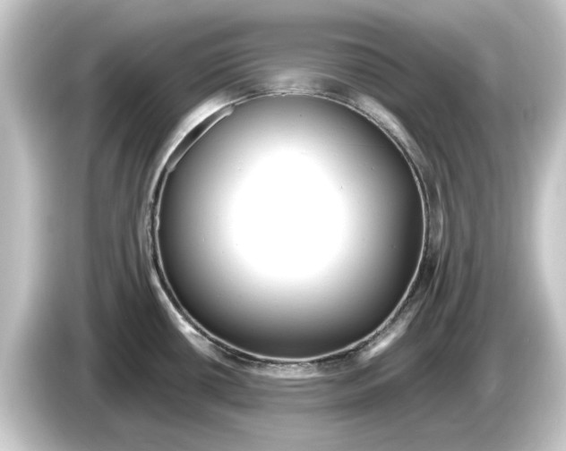 X0000084541434200703161619