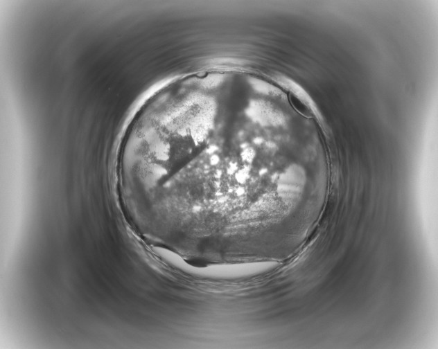 X0000084541435200703161619