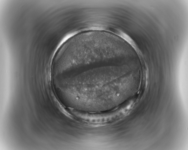 X0000084541436200703161619