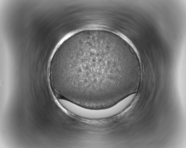 X0000084541437200703161619