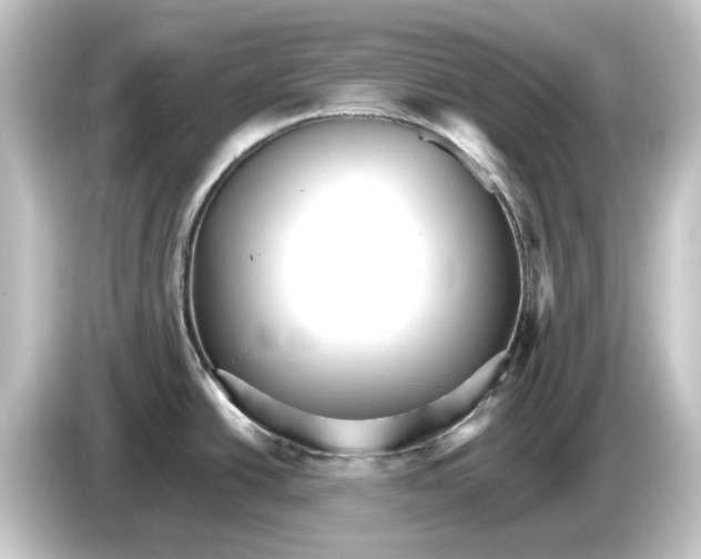 X0000084541438200703161619