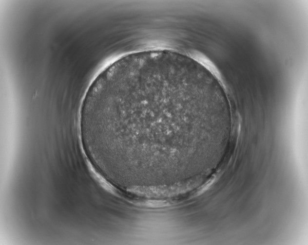 X0000084541439200703161619