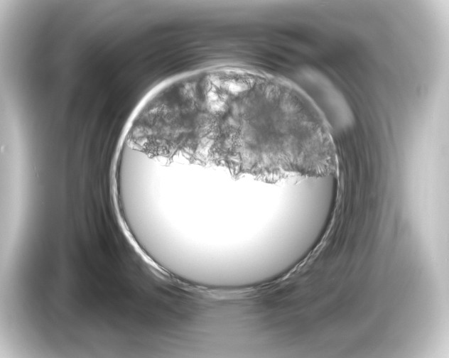 X0000084541440200703161619