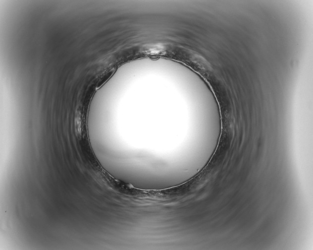 X0000084541442200703161618