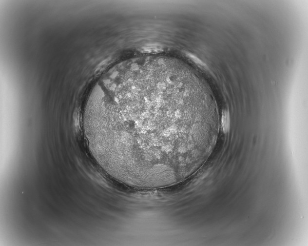 X0000084541444200703161618