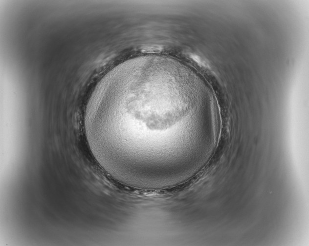 X0000084541445200703161618