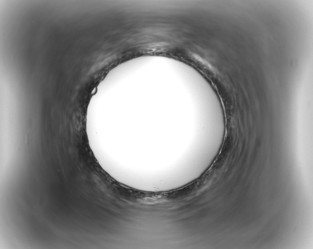 X0000084541447200703161618