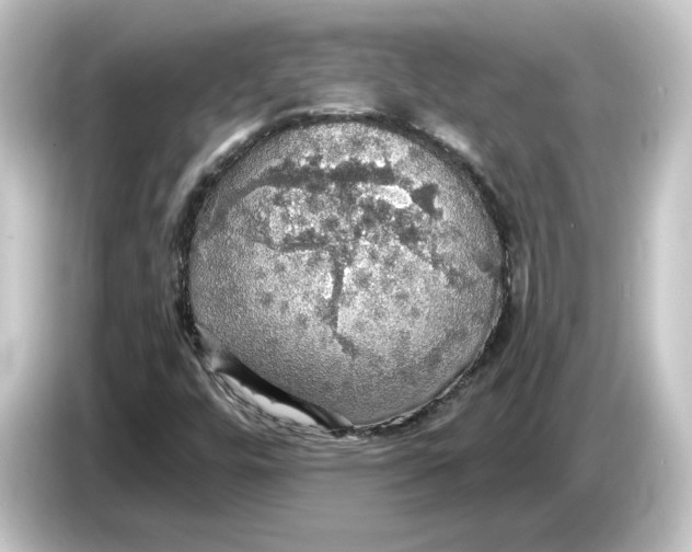 X0000084541448200703161618